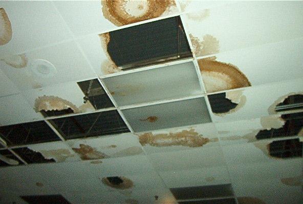 Roof leaks cause millions of dollars in damages