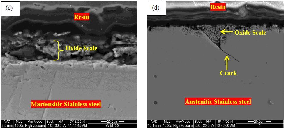 Conclusion: Martensitic and austenitic stainless steels were exposed in tube furnace at 700oC for 10 h in corrosive environment of water vapor only and mixed water vapor + molten Na 2 SO 4 -NaCl.