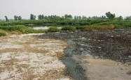 Overland flow system (10m wide) 4. Facultative Pond (33x 58m x1.