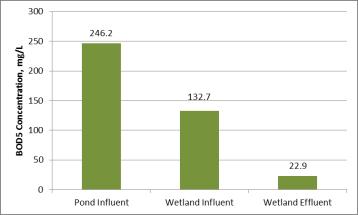 6-Year Average of BOD 5 Concentrations 46% BOD 5 removal in facultative pond 83% BOD 5 removal in FWS