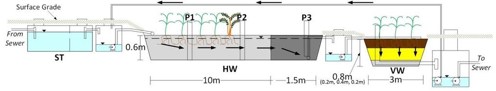 Figure 2: Hybrid Constructed Wetland Side and Plan View (Not to scale) 2.