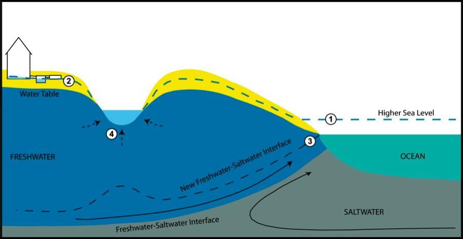 Groundwater in Coastal towns Over exploitation of coastal aquifers results in environmental impacts including seawater intrusion and land subsidence.