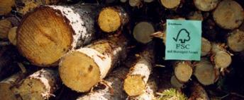 The market for timber, paper and pulp in