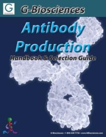 RELATED PRODUCTS Download our Antibody Production Handbook. http://info.gbiosciences.