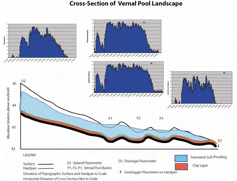 Upland Subsurface Vernal Pool