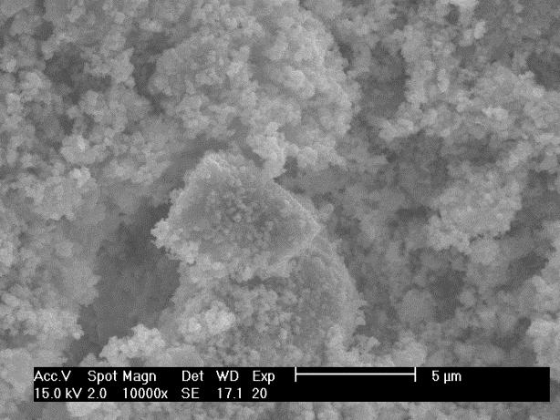 SEM images were also obtained from fresh and spent FeOx/ZrO2 and FeOx/8-YSZ catalysts with a 10 wt% iron loading (Figures 7).