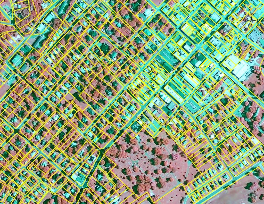 acquired in the summer of 2008 (Figure 2a) in combination with remote sensing techniques land