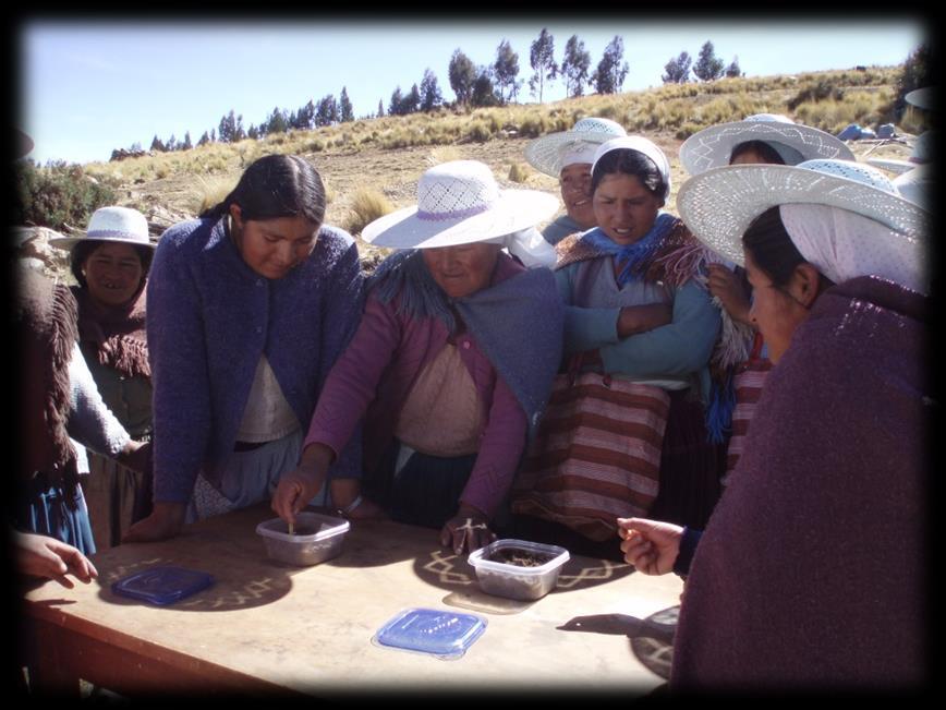 Research findings: Gender and local soil knowledge Bolivia Men and women described soil based on gendered practices on the farm Good soil must maintain moisture.