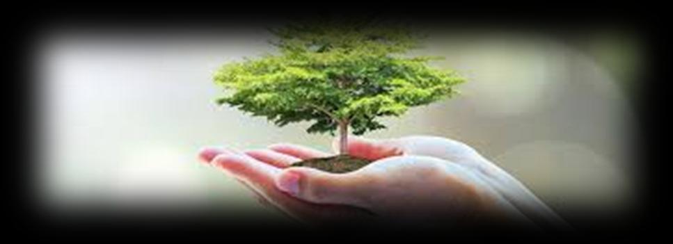 IMDAD LLC ENVIRONMENTAL POLICY Imdad is committed to leading the industry in minimizing the impact of its activities on the environment.
