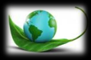 Meet or exceed all the environmental legislation that relates to the Company.