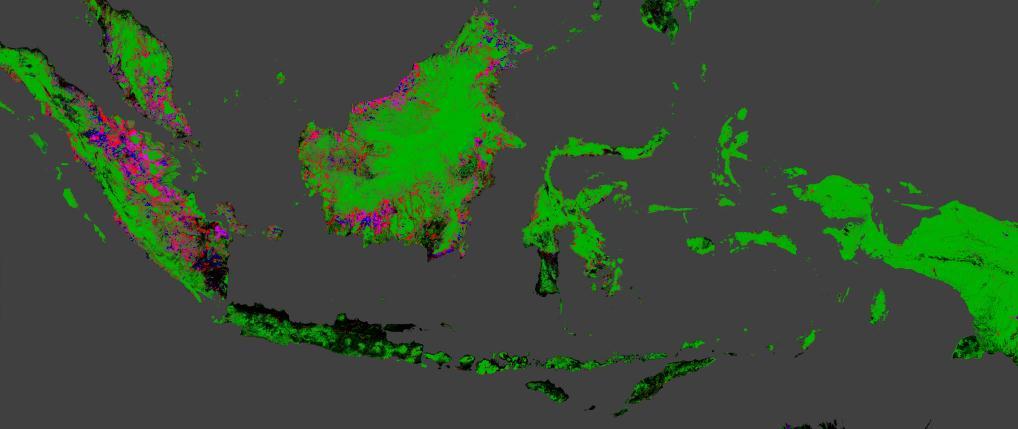 Indonesia > 130m ha of forest; 70% of national territory Rate of