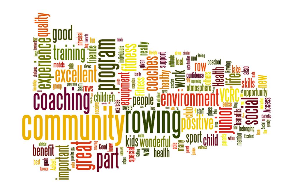Page 7 Figure 1: Word Cloud developed in January 2013 from the