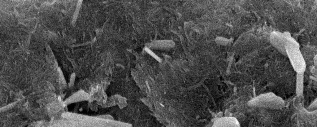 Figure S2. SEM image of the Se-C composite electrode showing large crystals of selenium as confirmed by EDX analysis (not shown).