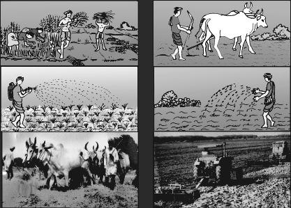 Picture 1.6 t t t s t t Let s Discuss In the Picture 1.5, can you shade the land cultivated by the small farmers? Why do so many families of farmers cultivate such small plots of land?