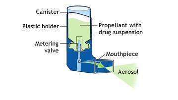 Sources of Leachables Leachables are compounds that migrate into a drug product from the sample container closure system
