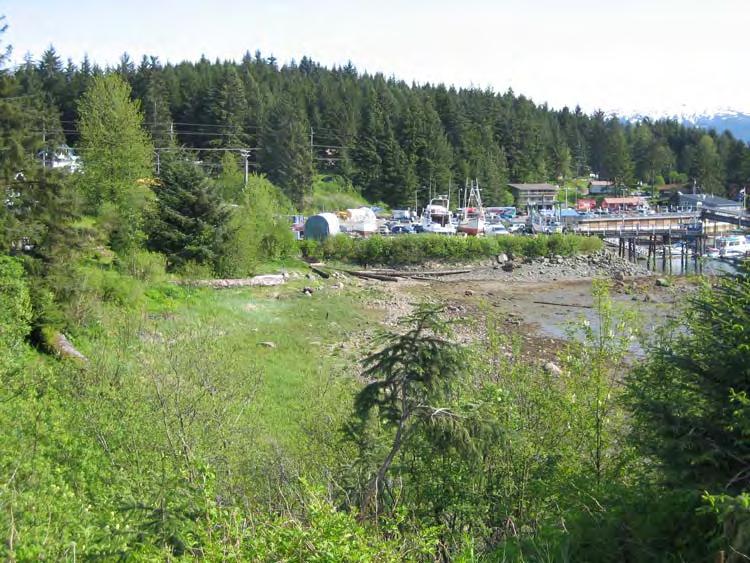 The project area is found on the City and Borough of Juneau s Wetland Mapping B-28 and shows no wetlands within or in the immediate vicinity of the site.