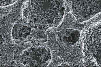 Synthesis of Manganese Oxide Nanostructures on Carbon Paper 515 5 µm 1 µm nm 5 nm (d) Fig.. Electron micrographs of MnO nanospheres deposited into mesoporous carbon paper.