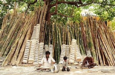 The allocation of 1,290 crore for a restructured National Bamboo Mission (NBM) has raised hopes for a range of bamboo-based industries from