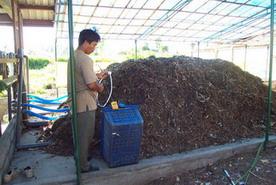 The Composting Research