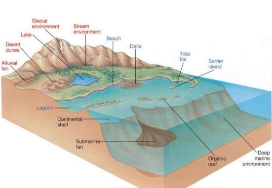 Depositional environment Continental Transitional Marine Laterally extensive vs bounded Heterogeneous vs homogeneous Well sorted vs
