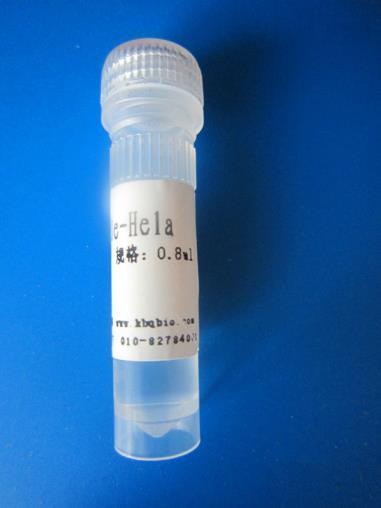 2. Dilute 2μg of endotoxin-free plasmid DNA and 3~5µl of QuickShuttle respectively into 50µl of 0.85% (w/v) sterilized saline.