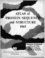 of proteins Created amino acid scoring matrix Protein evolution Protein