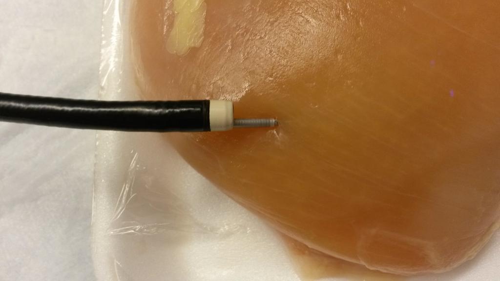 tissue structure (raw chicken breast to simulate solid pulmonary nodule) We subsequently conducted