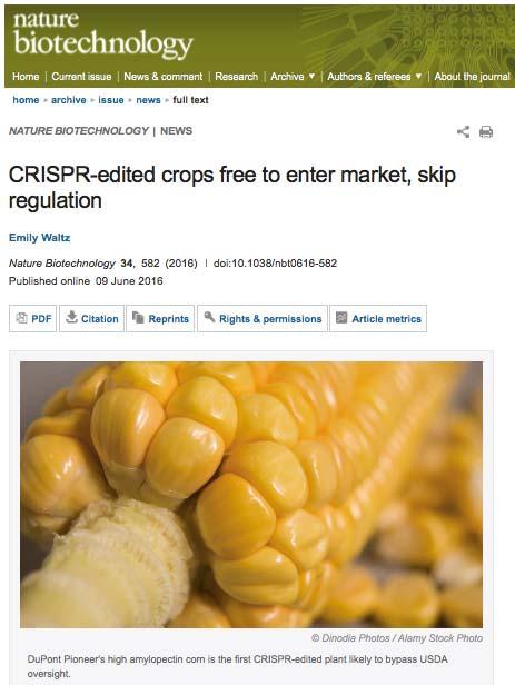 Are genetically edited crops GM or non GM?
