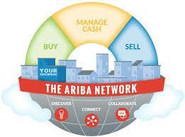 THE ARIBA NETWORK DEFINED What is the Ariba Network Ariba is a leading provider of collaborative business ecommerce solutions to enable more efficient and effective buying, selling, and cash