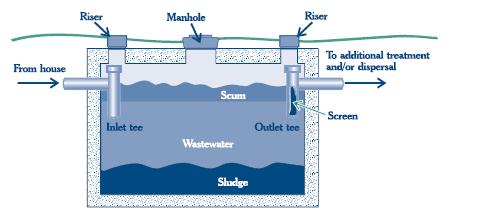 Septic Tank: Wastewater exits the house and then enters your septic tank where solids