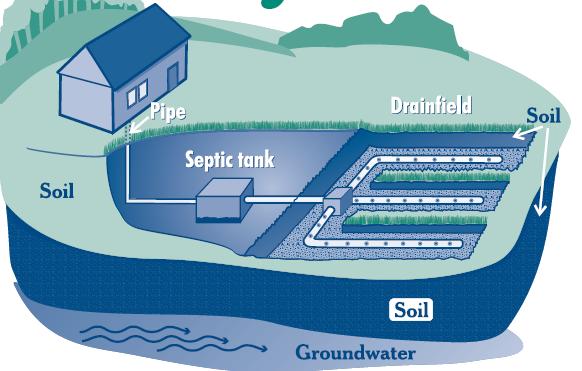 Distribution Box & Leach Field Wastewater exits the septic tank and enters the distribution box (d-box). The d-box evenly distributes the wastewater down each leach line.