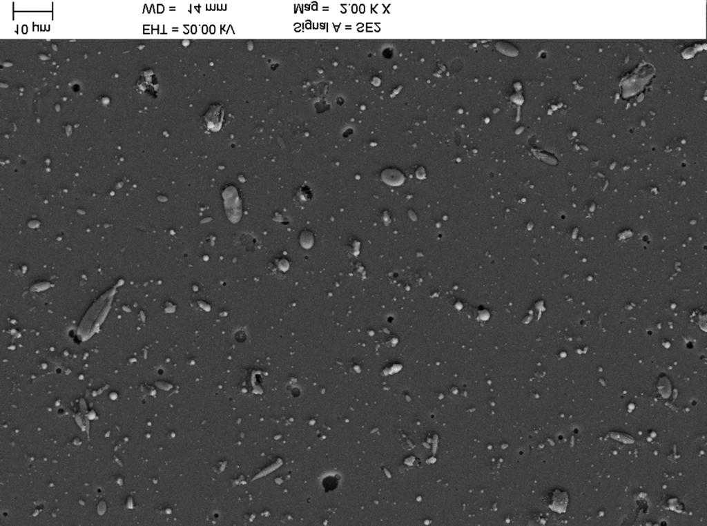 nanosa Cr/CrN/CrN na MCMgAl9Zn1 livni magnezijevi zlitini Figure 6: Surface topography of Ti/(Ti,Si)N/(Ti,Si)N layer obtained on AlSi9Cu1 cast aluminum alloy Slika 6: Topografija povr{ine nanosa