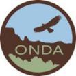 Monitor funds and investments to ensure adequate funds are available to permit ONDA to carry out its work.