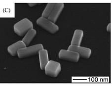 American Chemical Society, Copyright (2008). (B) SEM image of Ag nanocubes.