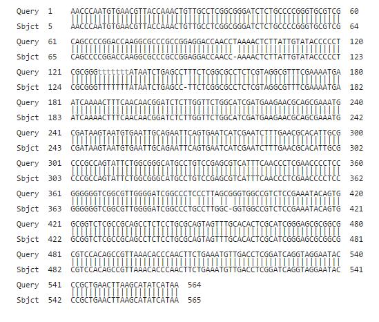 Figure 2.2 DNA sequences (ITS) of the 2 Trichoderma isolates. Variation in DNA sequences between the strains are shown in the circles. 2.3.