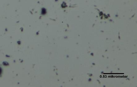 aggregates 0.53 micrometer Figure 2.
