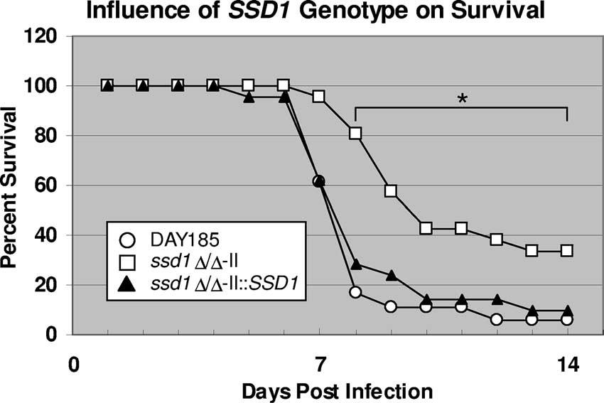 1326 GANK ET AL. EUKARYOT. CELL FIG. 5. Influence of SSD1 on C. albicans virulence in the murine model of hematogenously disseminated candidiasis.