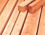Timber Grades Knotty Timber