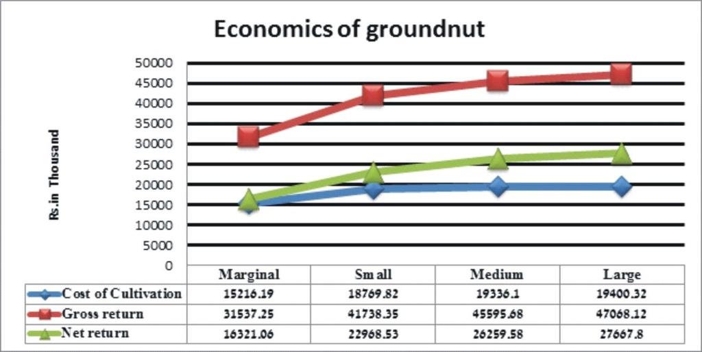 Costs and returns of groundnut crop: Table 2: Costs and returns of groundnut cultivation at different farm level S.No. Particulars Marginal Small Medium Large Average Cost of 1. cultivation 15216.