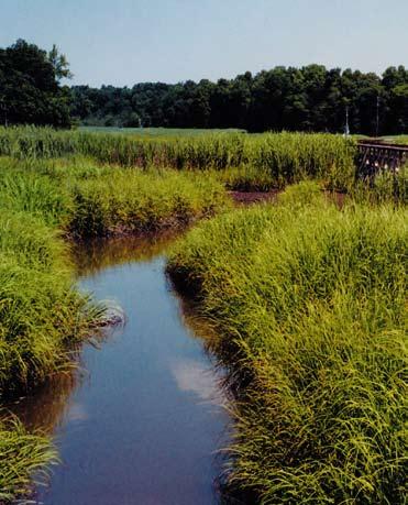 1 Coordinating, facilitating, supporting, and promoting programs and policies designed to restore and enhance water quality and habitat value Coordinate the Schuylkill Watershed Implementation Grant