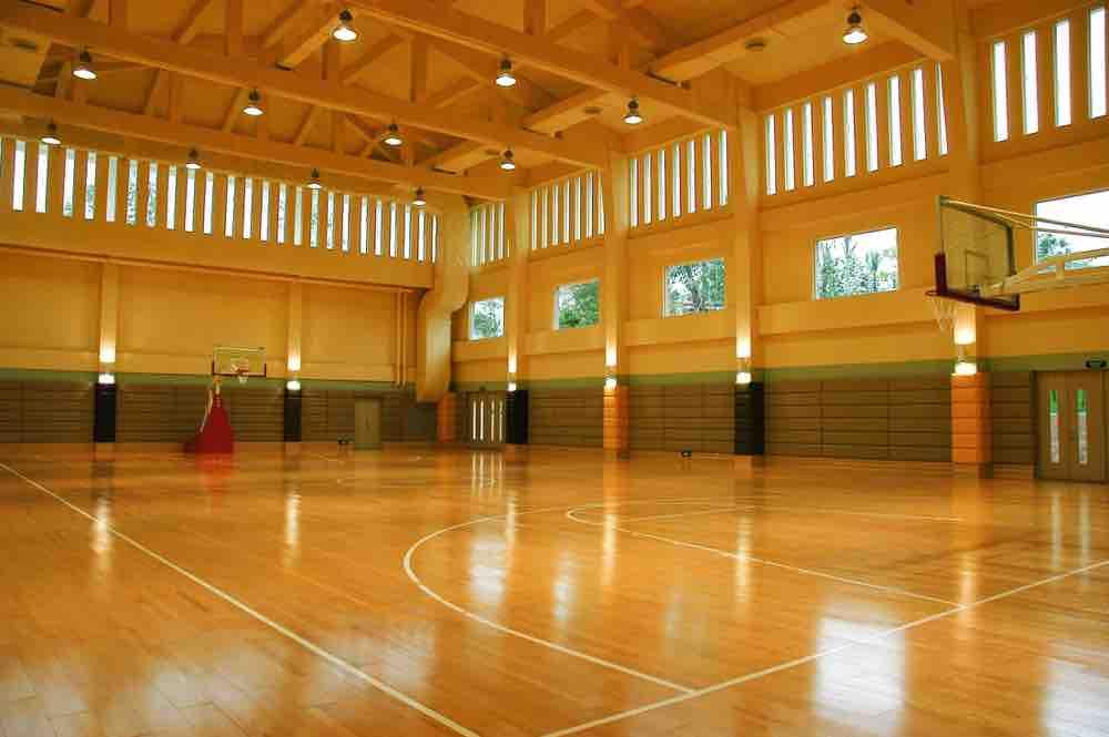 gymnasium School Base