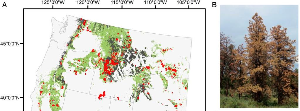 Major wildland fires in 2006, 2007, and 2012 that