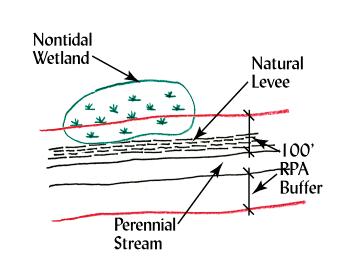 Nontidal Wetlands Separated by a Levee The following addresses nontidal wetlands as an RPA feature when they are separated from a water body with perennial flow by a natural river levee or berm,