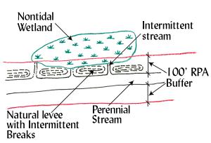 The formation of a raised depositional area adjacent to the bank of a stream or river channel can range from almost imperceptible on small streams to very high and wide along major rivers.