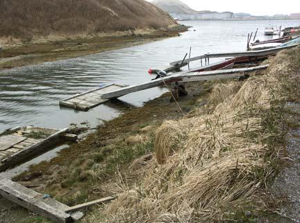 Figure 10. Lower Iliuliuk River facing downstream toward mouth. May 13, 2008.