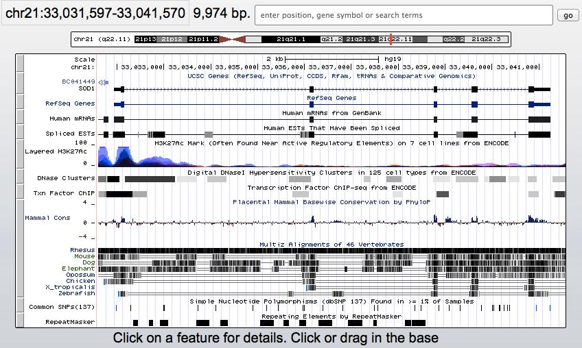 ENCODE data Figure 4. ENCODE chromatin annotations in the HLA locus. UCSC Genome Browser on Human Feb. 2009 (GRCh37/hg19) Assembly Figure 5.