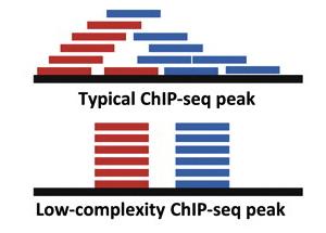 CHIP-seq By combining chromatin immunoprecipitation (ChIP) assays with sequencing, ChIP sequencing (ChIP-Seq) is a powerful method for identifying genome-wide DNA binding sites for transcription