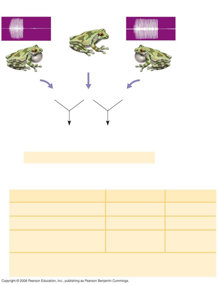 Fig. 23-16 EXPERIMENT SC male gray tree frog Female gray tree frog SC sperm Eggs LC sperm LC male gray tree frog Offspring of SC father Offspring of LC father Fitness of these half-sibling offspring