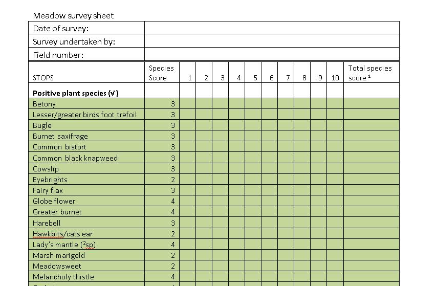 Hay meadow score sheet [1] * Total species score