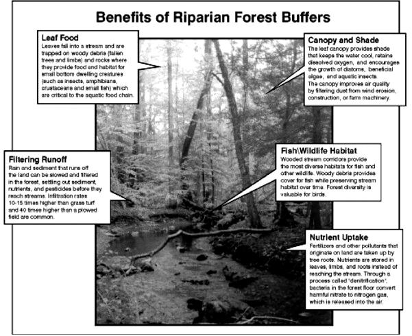 BMP 5.4.2 focuses on protection, maintenance, and enhancement of existing Riparian Forest Buffers. Restoration of Riparian Forest Buffers is treated in Chapter 6 as a Structural BMP. Figure 5.2-1.